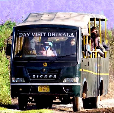 Dhikala Canter Safari in Jim Corbett
