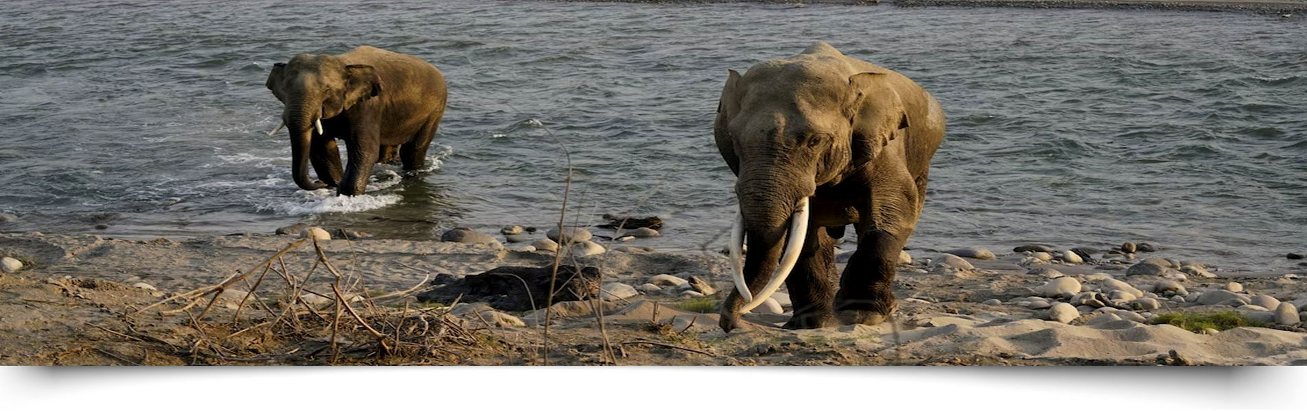 Jim Corbett Park