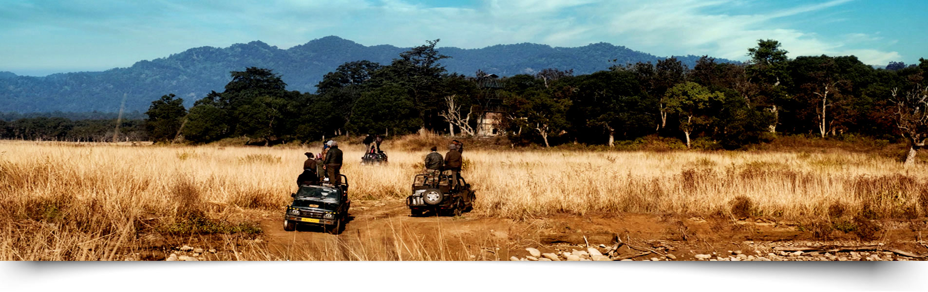 Online Booking Jeep Safari